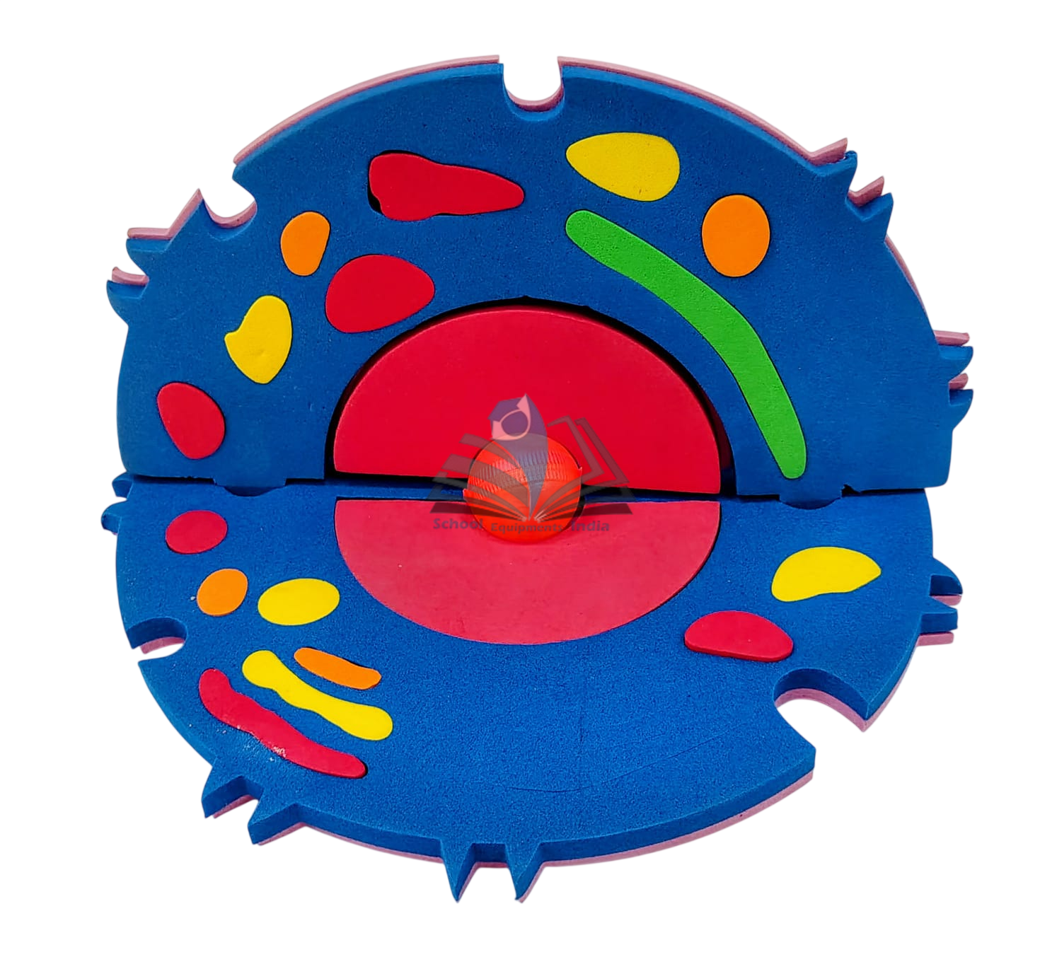 Animal Cell EVA Model